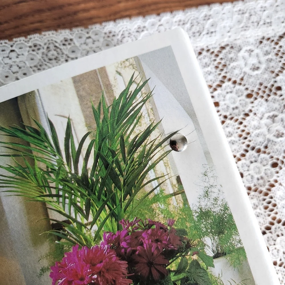 Vintage Success with House Plants Binder